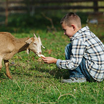 Séjour d'été à la ferme