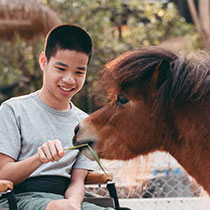 Therapie poney